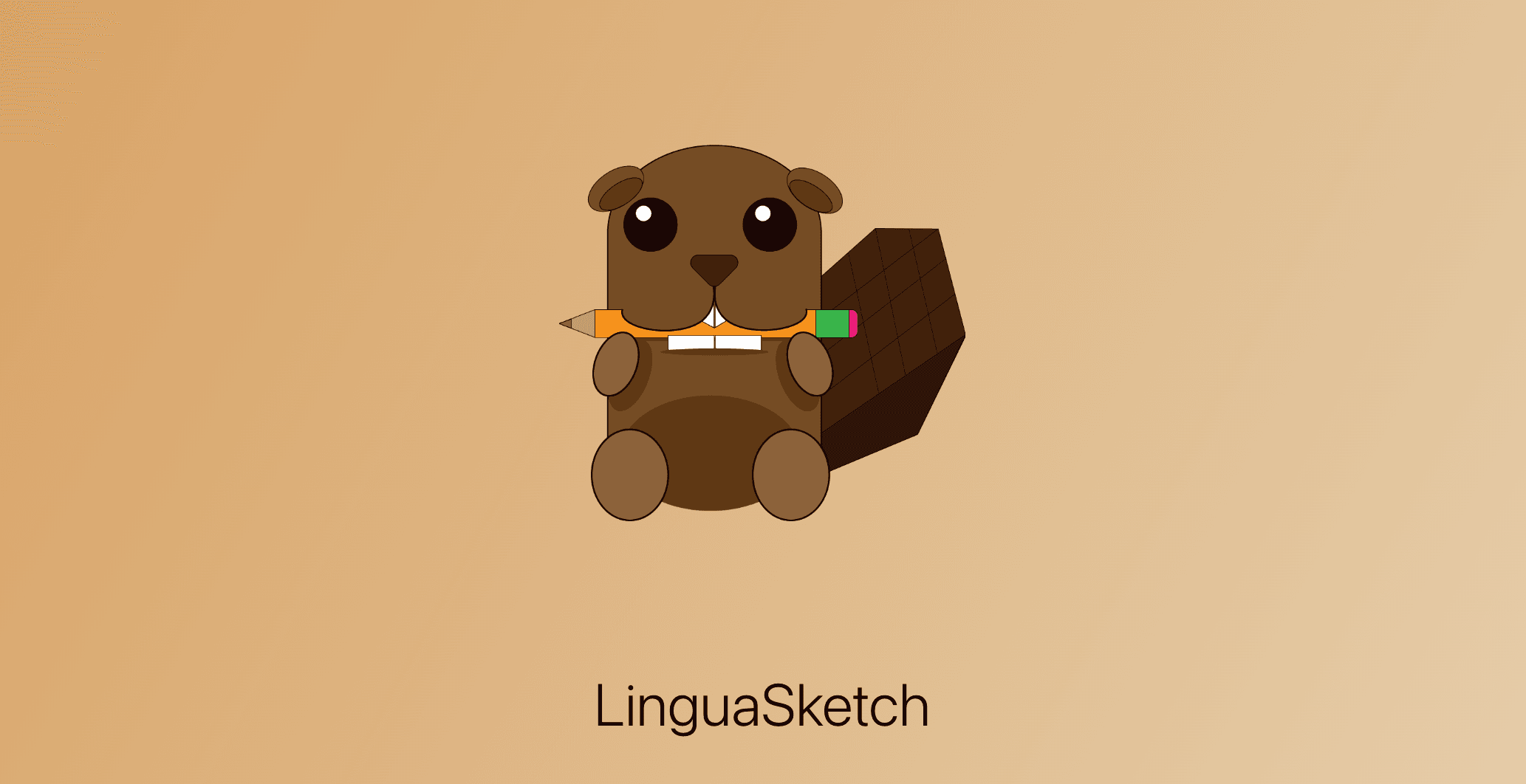 LinguaSketch